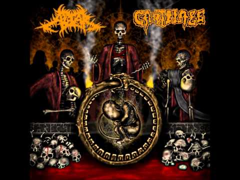 Altar - Nothing Human 