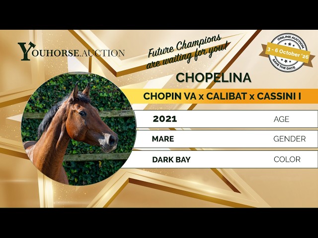 Chopelina IN THE 'OCTOBER EDITION' YOUHORSE.AUCTION LOOSE JUMPING OCTOBER 3 - 6 & 7 2026