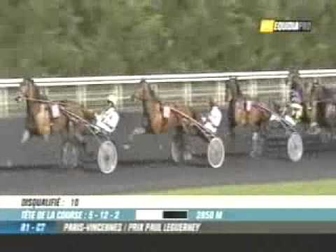 Prix Paul Leguerney 2011 -The Lovely Gwen