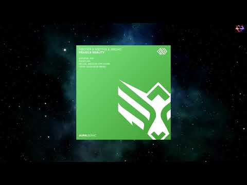 Fischer & Miethig With ArDao - Fragile Beauty (Vinny DeGeorge Remix) [AURAL SONIC]
