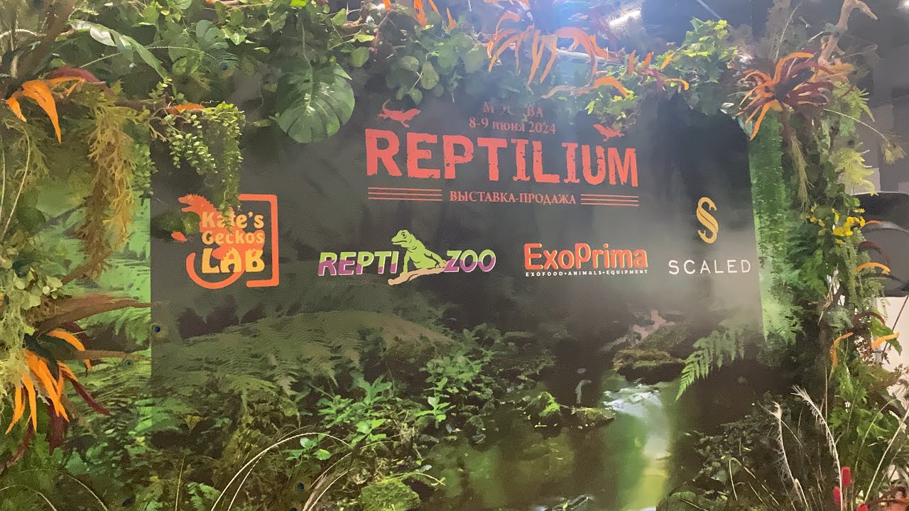 Рептилиум - REPTILIUM 08.06.2024 МОСКВА. Выставка-продажа террариумных животных.