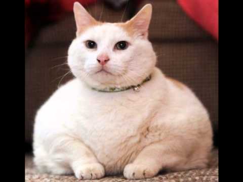 And his name.. was Wickey Rayne.