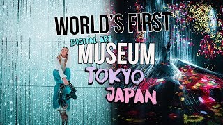 WORLD’S FIRST DIGITAL ART MUSEUM: teamLAB Borderless TOKYO JAPAN