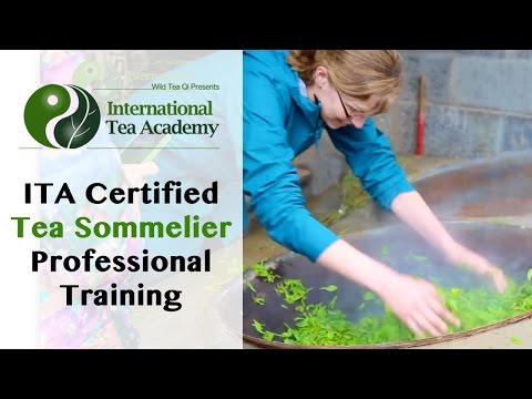 download lagu mp3 mp4 Tea Master Certification, download lagu Tea Master Certification gratis, unduh video klip Tea Master Certification
