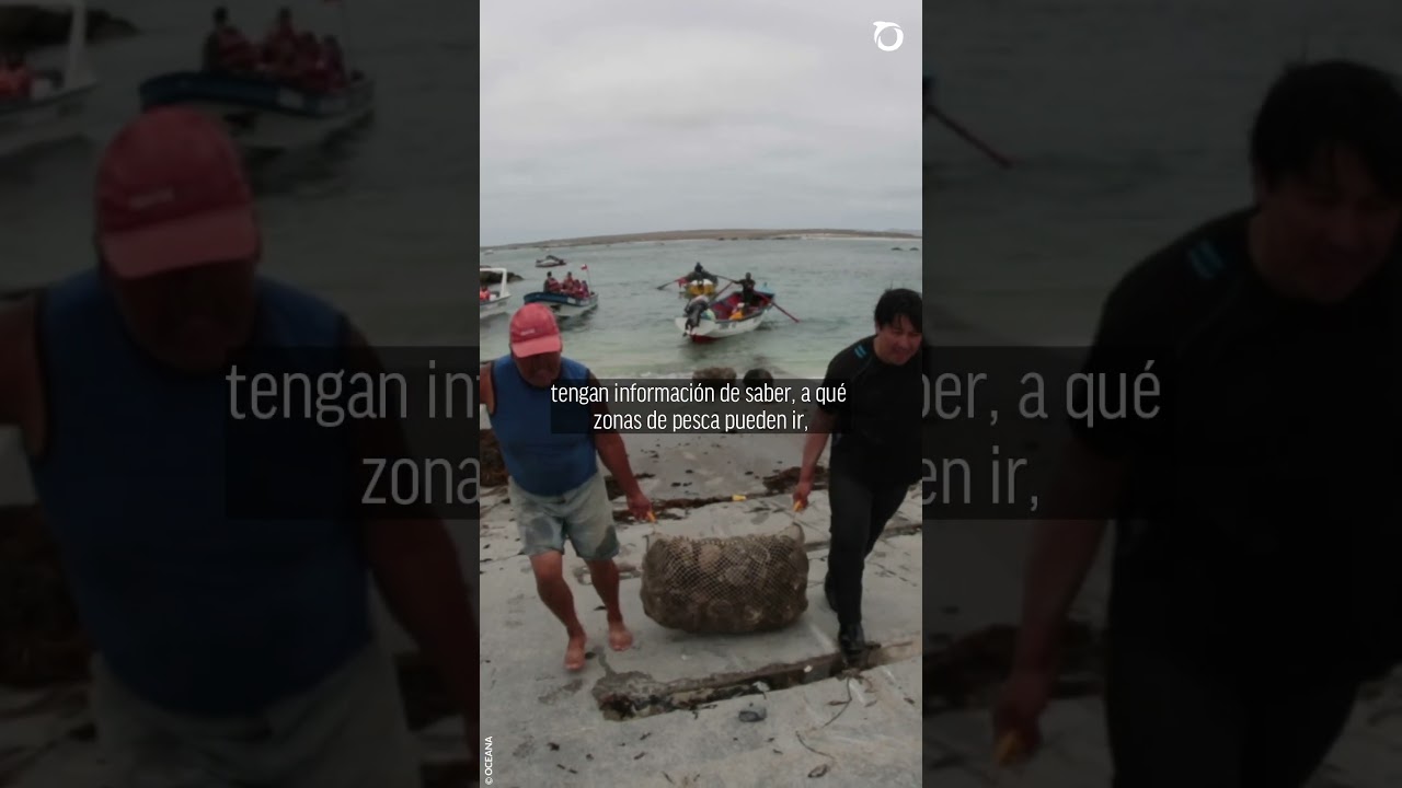 ¿Sabías que la tecnología satelital puede transformar nuestra pesca?