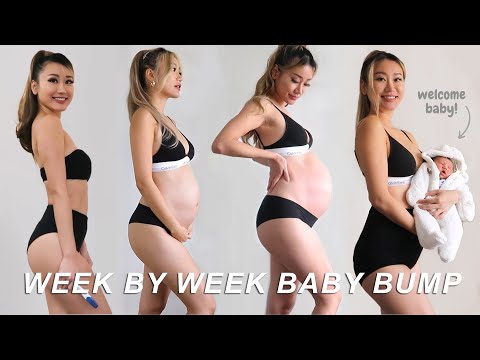 PREGNANCY TRANSFORMATION 🤰Week By Week Progress