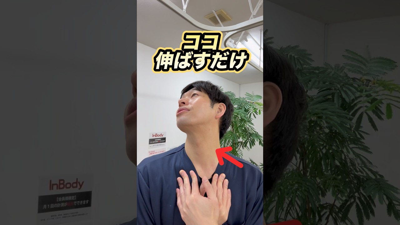 首のシワ改善エクササイズ❗️