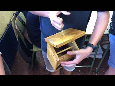 Saguzar eta txori-kutxak. EGUZKIBEGI IKASTOLA. DBH1 18-19