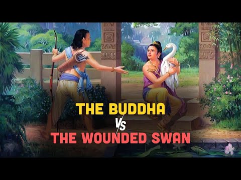 The Buddha and the Wounded Swan – A Lesson on Compassion Over Pride