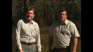 Forest Stewardship in Mississippi
