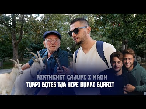 'Turpi botës t'ja hipi burri-burrit", rikthehet "ÇAJUPI" I MADH: Dhe kafshët po habiten me njerëzit