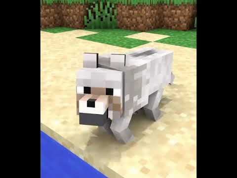 Monster School:Baby Skeleton and Dog Life - Story Minecraft Animation - (shorts version) #Shorts​ 5