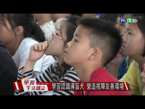 學習認識導盲犬 營造視障友善環境