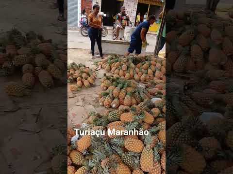 turiaçu Maranhão