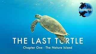 The Last Turtle | Ep.1, The Nature Island