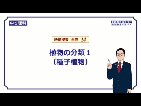 旧北極圏: 学名 (SA) による種子植物 - 定義