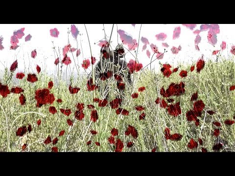 JGRXXN - November 56 The Lil Peep Tribute (Official Music Video)