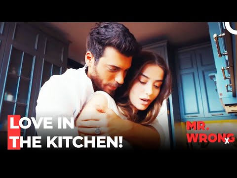 We're Reborn From Our Ashes - Mr. Wrong