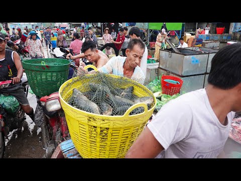 Busy Fish Market Early Morning Scenes, Prek Pnov Fish Distribution Site, Amazing Cambodia Part 2