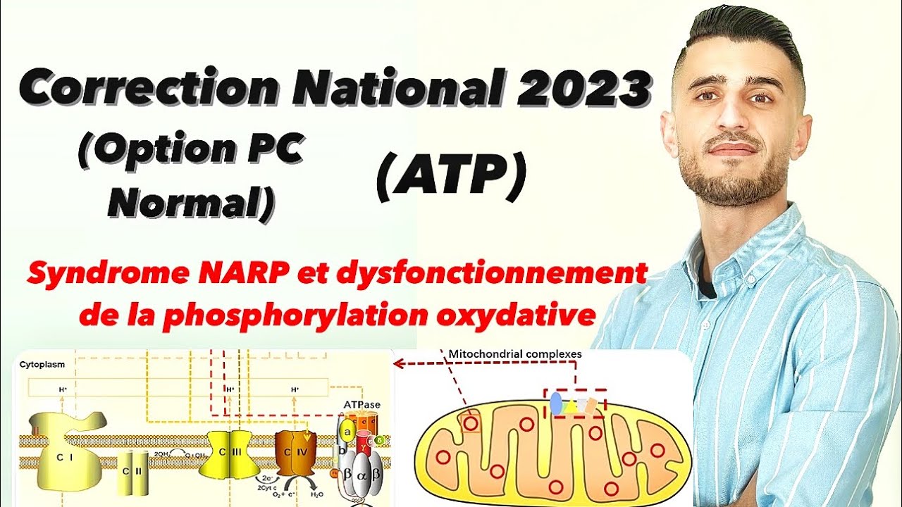 Correction National 2023 (PC Normal) ATP ,la phosphorylation oxydative (syndrome NARP) طريقة الإجابة