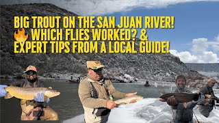 BIG TROUT on the San Juan River! 🔥 Best Flies & Expert Tips from a Local Guide!"