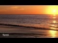 Branford Marsalis Quartet - Dinner for One Please, James