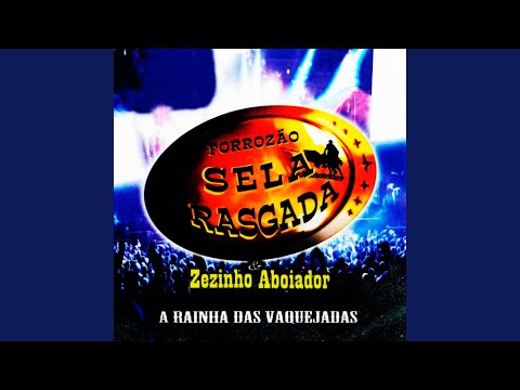 Beber Sem Fazer Pausa