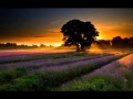 2 Cadenzas from my Piano Concertos