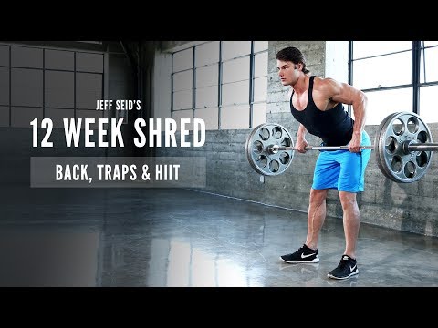 Jeff Seid's 12 Week Shred: #2 Back, Traps & HIIT