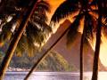 Robert M feat. Nicco - Dance Hall Track (Josh ...
