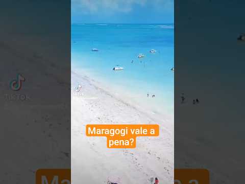 Praia dos carneiros - Bora Bora Alagoas.                                   #maragogi  #alagoas