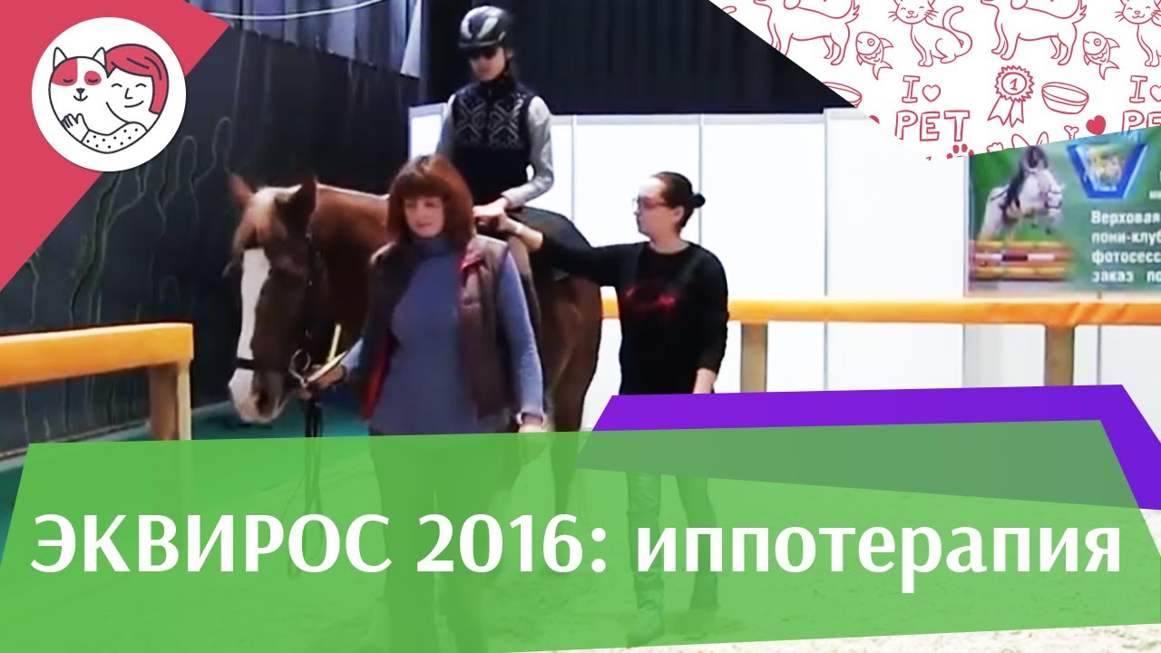 Вольтижировка в системе занятий иппотерапией ЭКВИРОС 2016 на ilikepet
