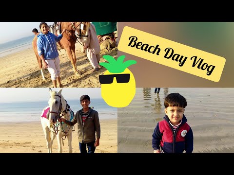Beach Day Vlog | Hawks Bay beach
