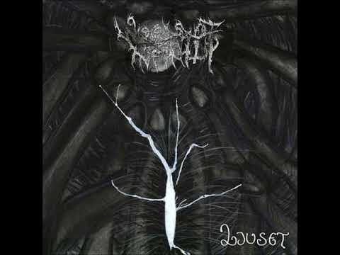 Woods of Infinity - Ljuset [Full Album]