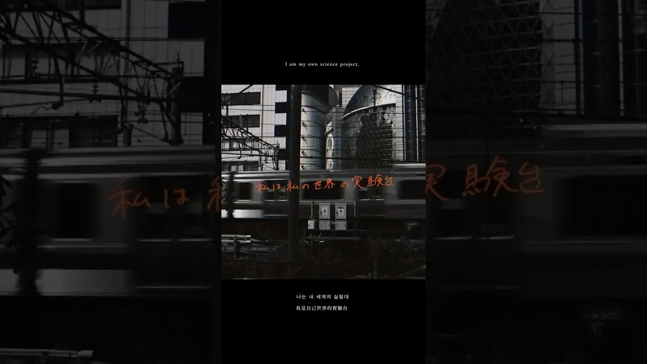 私は私の世界の実験台