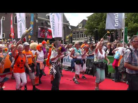 The 4Days Marches Blisters Blues -  Loeksband Alkmaar