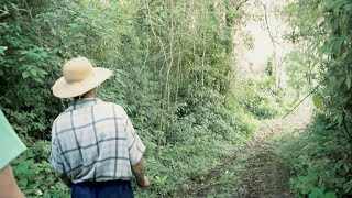 Viver no Brasil falando Hunsrückisch [Documentário]