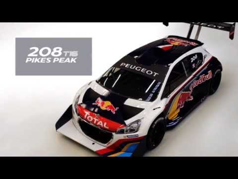 PEUGEOT 208 T16 Pikes Peak - Der Aufbau