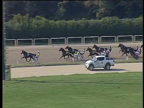 Trotto 12/10/2018 - 2ª corsa
