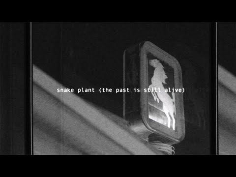 Video thumbnail for Snake Plant (The Past Is Still Alive)