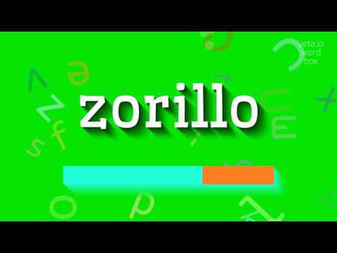 How to say "zorillo"! (High Quality Voices)