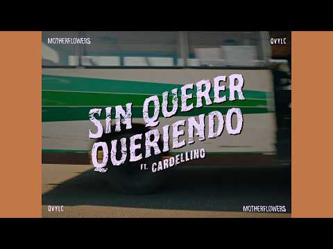 Motherflowers, Cardellino - Sin querer queriendo (Visualizer)