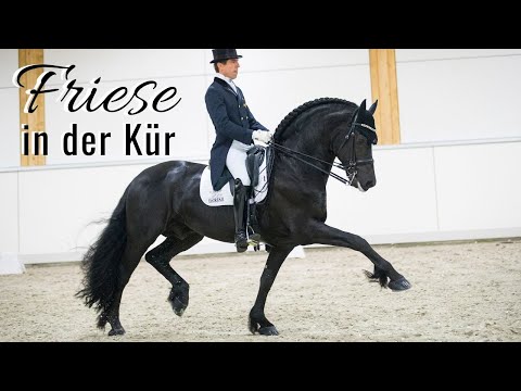 Ein Friese in der CDI5* Kür 🤩 | Ein atemberaubender Hengst! | Marc Peter Spahn & Elias