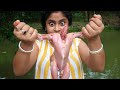 Full Chicken Masala Curry Chicken Curry Recipe