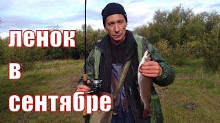 Ссылка