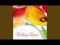 Canon and Gigue in D Major: I. Canon