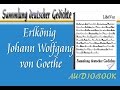 Erlkönig Johann Wolfgang von Goethe Hörbuch ...