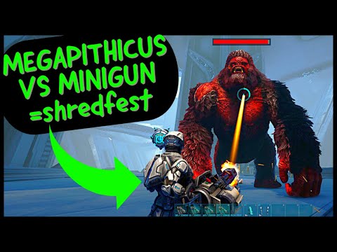 MEGAPITHICUS VS MINIGUN=SHREDFEST
