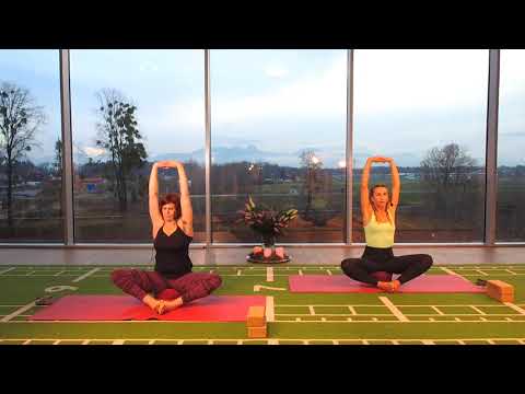 YOGA SPECIAL mit Melanie & Monika - ONLINE FITNESS - ONLINE KURSE