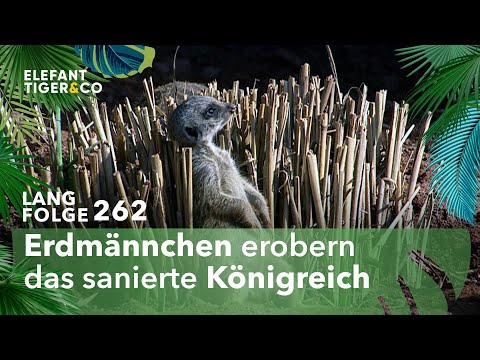 Mit Sack und Pack (Langfolge 262) | Elefant, Tiger & Co. | ARD